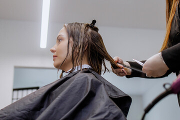 Woman professional hairdresser doing hair styling to client in beauty salon, cutting the ends of...