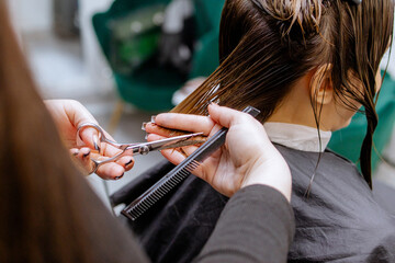 Woman professional hairdresser doing hair styling to client in beauty salon, cutting the ends of...