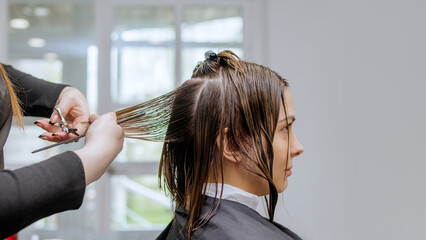 Woman professional hairdresser doing hair styling to client in beauty salon, cutting the ends of...