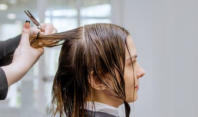 Woman professional hairdresser doing hair styling to client in beauty salon, cutting the ends of...