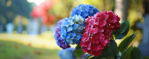 Independence Day American Patriotic background with Beautiful Hydrangea flower bouquet background.