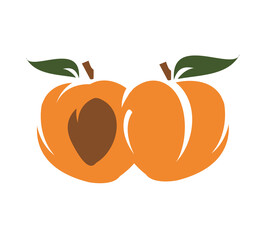 illustration of an orange fruit