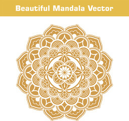 Photo frame with lace for paper cutting, Laser cut template collection. Set of abstract oval, round, square and rectangle frame with swirls, vector ornament. Laser cutting design. 