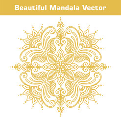 Photo frame with lace for paper cutting, Laser cut template collection. Set of abstract oval, round, square and rectangle frame with swirls, vector ornament. Laser cutting design. 