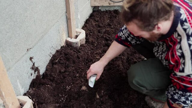 Gardener Pouring Seeds Into Cultivated Garden Plot. closeup shot