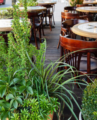 restaurant terrace with different plants