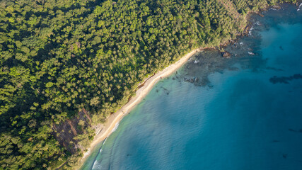 Aerial view of the dark green forest and the sea. Natural ecosystems of forests and oceans. concept...