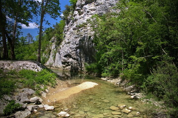 Canyon of Mirna river in Croatia