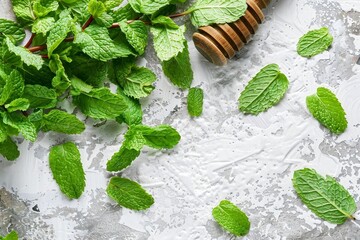 Mint Leaves placed on a clean White Surface