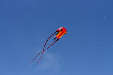 Cerfs volant dans un ciel bleu au printemps