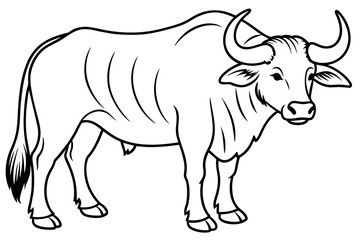 buffalo cartoon vector illustration