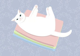 畳んだ洗濯物の上に寝転がる猫　シロネコ