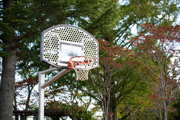 公園にあるバスケットボールのゴール