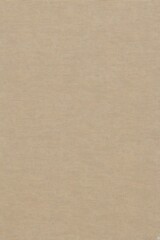 Fototapeta premium A modern vertical background featuring a textured cotton canvas in a natural beige color, with subtle 3D bumps and a hint of stitching.
