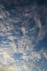 Summer blue sky cloud gradient light white background. Beauty clear cloudy in sunshine calm bright winter air bacground. Gloomy vivid cyan landscape in environment day horizon skyline view spring wind