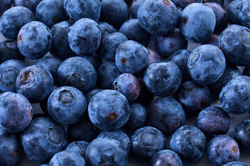Fresh Blueberry Bounty. Close-up of ripe juicy blueberries filling the frame with vibrant color.