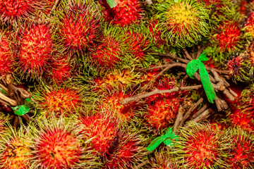 Rambutan tropical fruit