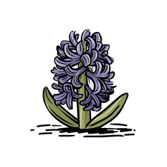 Hyacinth Doodle Art: Cheerful Flower Sketch for Creative Projects