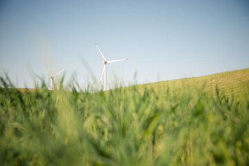 Wind turbine generator for green electricity production