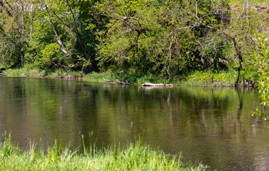 Obere Donau, Landkreis Sigmaringen. Schwäbische Alb