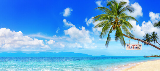 Here is Koh Samui sign on palm tree, paradise tropical island sea sand beach panorama, Koh Phangan...