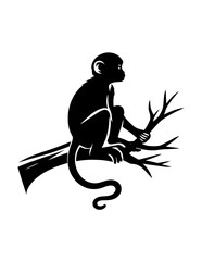silhouette of monkey