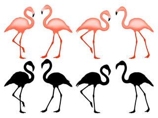 Flamingo watercolor illustrations isolated on transparent background, silhouette illustration
