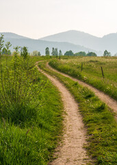 Beautiful landscape of nature. Rural road, fields with green, lush grass, pastures. Beautiful...