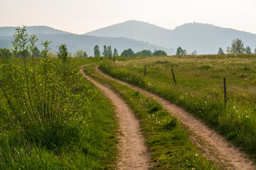 Country road among green fenced pastures, landscape of farmland with lush green grass. High mountains on the horizon