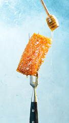 Honeycombs and Honey Stick. On a light background.