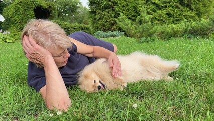 Beautiful elderly senior woman playing with her dog, Pomeranian Spitz puppy lying on grass at...