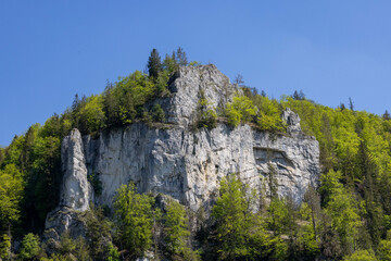 Ansichten einer Felswand im oberen Donautal. Schwäbische Alb