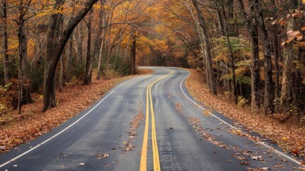 Fototapeta premium Autumn Serenade: A Winding Road Through Fall Colors