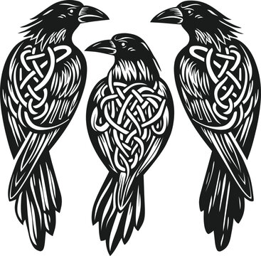 A set of Viking Celtic Raven crow Hugin Munin bird graphic design | svg png eps vector | cut print laser engrave digital files for commercial use | tattoo, T-Shirts Coffee Mugs Posters Stickers