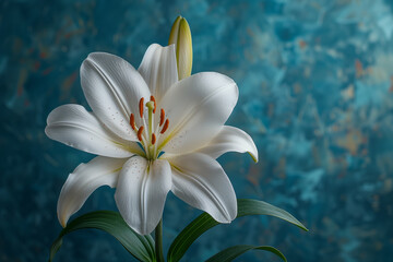 White Lily with a Deep Blue Textured Background