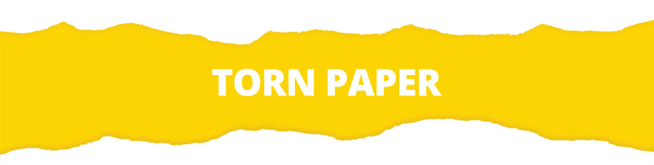 Torn paper ripped white color edges, empty, blank, yellow background sheets web long banner design vector illustration
