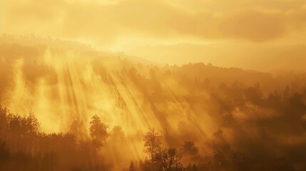 Fototapeta premium Soft rays of golden light cast through mist hinting at sunlight's presence wallpaper