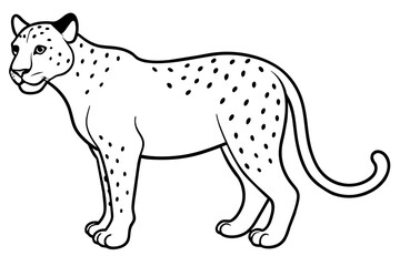  jaguar cartoon vector illustration