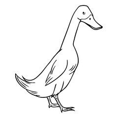 duck outline vector illustration