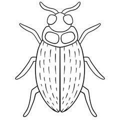 Beetle Line Art