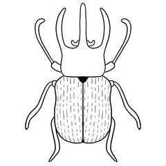 Beetle Line Art