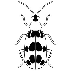 Beetle Line Art