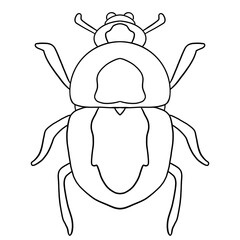 Beetle Line Art