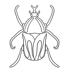 Beetle Line Art