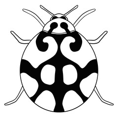 Lady Bug Line Art