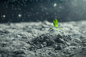 A young green plant sprouting through the gray, dusty surface of the moon, symbolizing the discovery of potential life and growth in the barren lunar landscape 