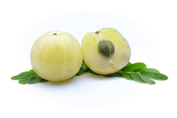Amla, emblic or indian gooseberry (Phyllanthus emblica), Phyllanthaceae. Edible Asian fruit. Cultivated tree