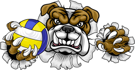 Naklejka premium A bulldog dog volleyball animal sports mascot holding a volley ball in his claw