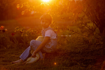 Cute beautiful schoolchild, playing with little gosling in a park on sunset