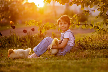 Cute beautiful schoolchild, playing with little gosling in a park on sunset